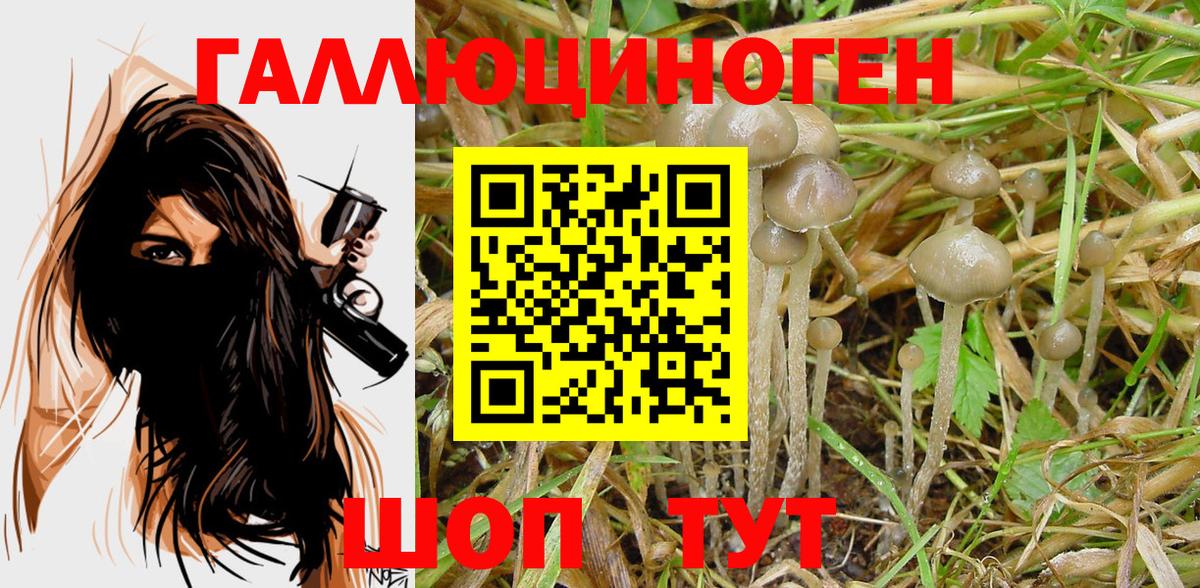 Котлас  где продают   Псилоцибиновые грибы мицелий  Вход с VPN  Галлюциногенные грибы GOLDEN TEACHER 